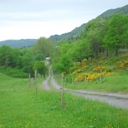 Les Jardins De Soulane B&B - Adults Only Belcastel-et-Buc 외부 사진
