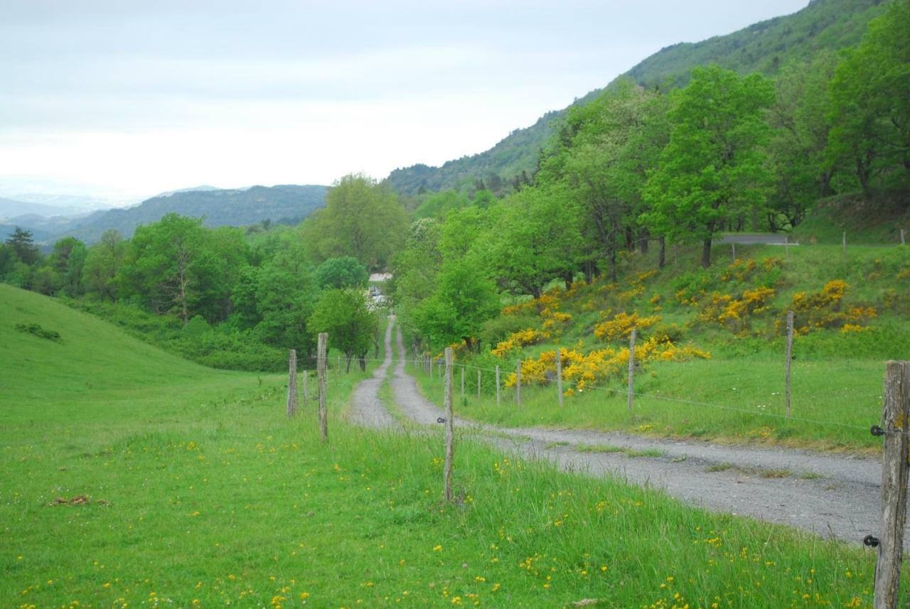 Les Jardins De Soulane B&B - Adults Only Belcastel-et-Buc 외부 사진